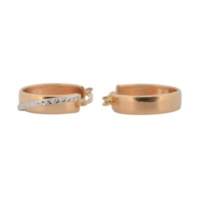 CERCEI AUR 14K_123468