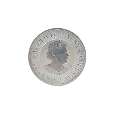 MONEDA DE ARGINT 1 OZ ELIZABETH II 2020_137457