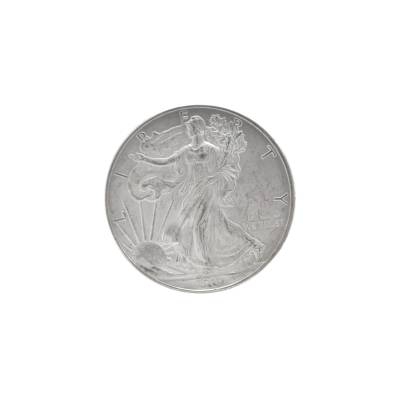 MONEDA DE ARGINT 1 OZ PURITATE 999  UNITED STATES LIBERTY 2010_137436