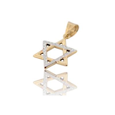 PANDANT AUR 14K_129437