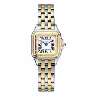 CARTIER PANTHERE SMALL SIZE GOLD/STEEL 23X30MM NEW FULL SET 2025 REF: W2PN0018